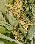 Tisane la récupératrice