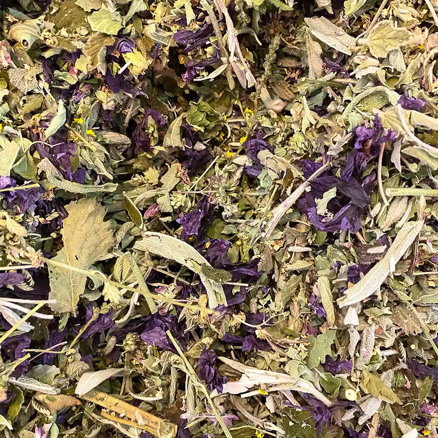 Tisane l'hivernale