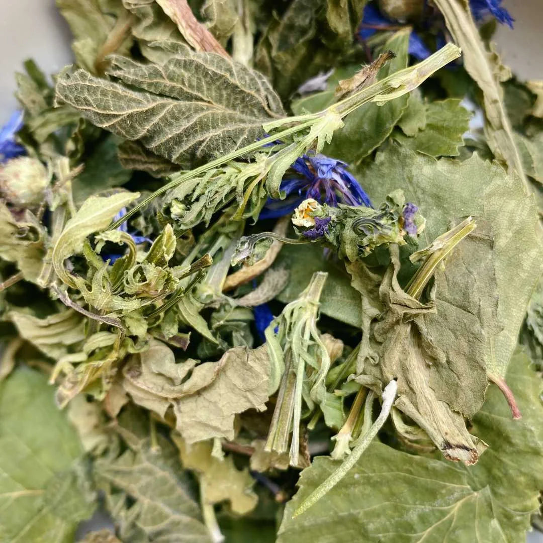 Tisane la printanière