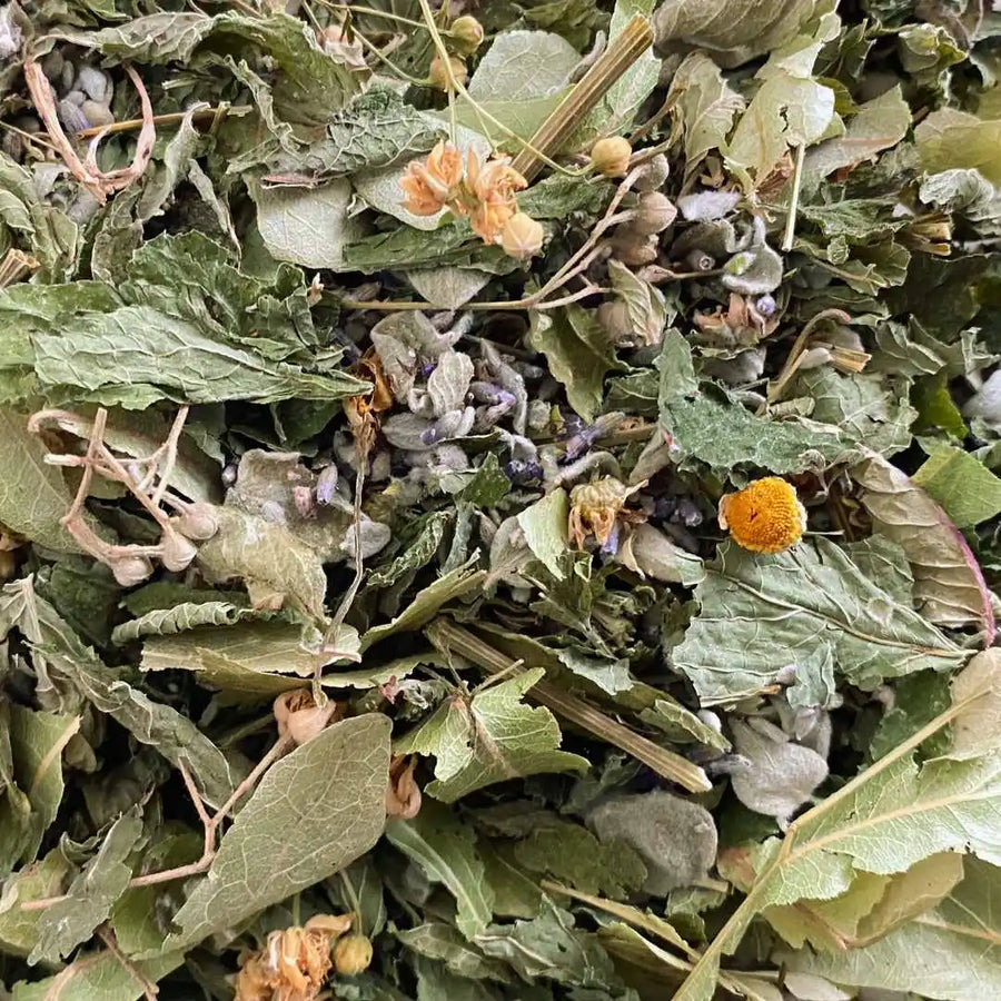 Tisane la rêveuse